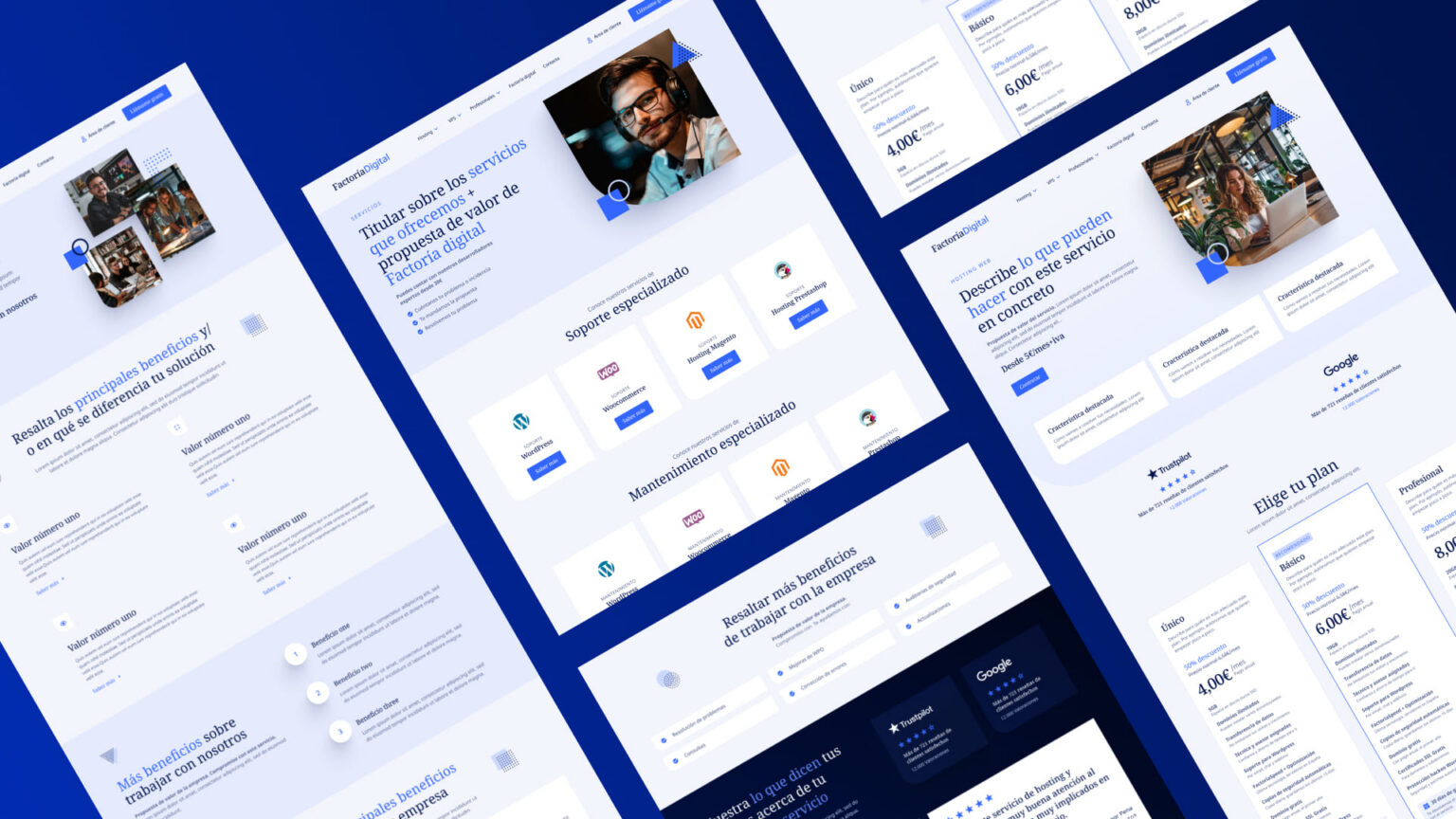 Molmatric — proyecto de branding