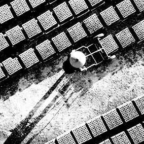 Camino forestal en blanco y negro, ilustrando la fase de descubrimiento