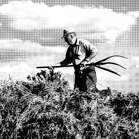 Camino forestal en blanco y negro, ilustrando la fase de descubrimiento